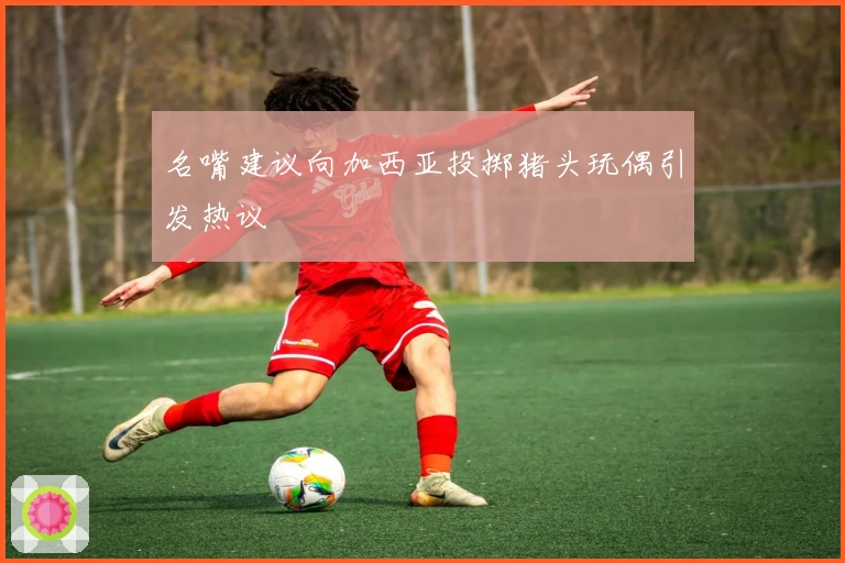 名嘴建议向加西亚投掷猪头玩偶引发热议